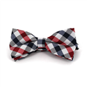 Papillon a Quadri Bianco, Blu e Rosso