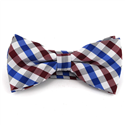 Papillon a Quadri Bianco, Blu e Rosso