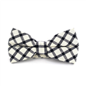 Papillon a Quadri Bianco e Blu Scuro