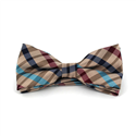 Papillon a Quadri Dorato, Granata e Blu