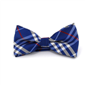 Papillon a Quadri Scozzesi Blu