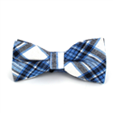 Papillon a Quadri Scozzesi Blu e Bianco