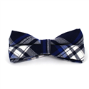 Papillon a quadri scozzesi blu e bianchi