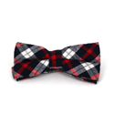 Papillon a Quadri Scozzesi Blu e Rosso