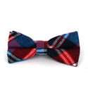 Papillon a Quadri Scozzesi Blu e Rosso