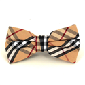 Papillon Tartan Beige I