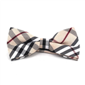 Papillon a Quadri Scozzesi Beige II