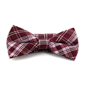 Papillon a quadri scozzesi bordeaux e rosa