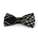 Papillon a quadri scozzesi marrone e verde