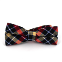 Papillon Tartan Multicolore