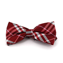 Papillon a quadri scozzesi rossi