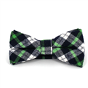 Papillon a Quadri Scozzesi Verde e Blu