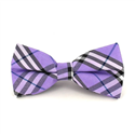 Papillon a Quadri Scozzesi Viola