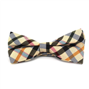 Papillon a Quadri Multicolore