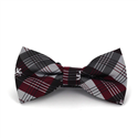 Papillon a Quadri Reggimento