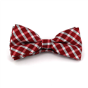 Papillon a Quadri Rosso e Bianco