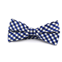 Papillon a quadri Vichy blu e bianco