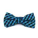 Papillon a quadri Vichy blu e nero