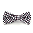 Papillon a quadri Vichy viola e nera