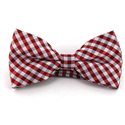 Papillon a quadri Vichy rosso e bianco