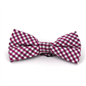 Papillon a quadri Vichy viola e bianco