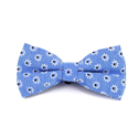 Papillon Fiori Blu