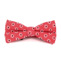 Papillon Fiore Rosso