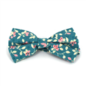 Papillon Fiori Turchese