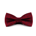 Papillon Bordeaux a Pois Blu