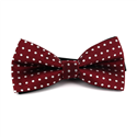 Papillon Bordeaux a Pois Bianchi