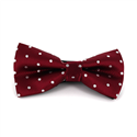 Papillon Bordeaux a Pois Bianchi