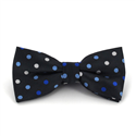 Papillon Grigio a Pois Multicolore