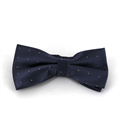 Papillon Grigio Scuro a Pois Luminosi