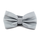 Papillon Grigio a Pois Bianchi