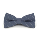 Papillon a righe grigie e bianche