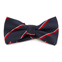 Papillon Grigio a Righe Rosse e Bianche