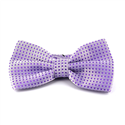 Papillon Viola a Pois Viola