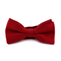 Papillon in velluto liscio rosso