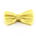 Papillon a Quadretti Giallo Chiaro