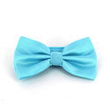 Papillon a Quadretti Celeste