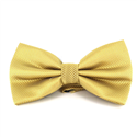 Papillon a quadretti liscio Champagne