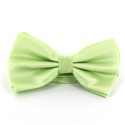 Papillon a Quadretti Verde Chiaro