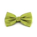 Papillon a Quadretti Verde Pistacchio