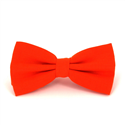 Papillon liscio a spiga arancione