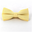 Papillon liscio giallo Oxford