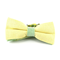 Papillon liscio Oxford giallo e verde