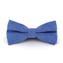 Papillon liscio Oxford blu