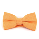 Papillon liscio Oxford arancione