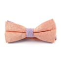 Papillon liscio Oxford arancione e lilla