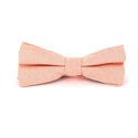 Papillon liscio Oxford Rosa